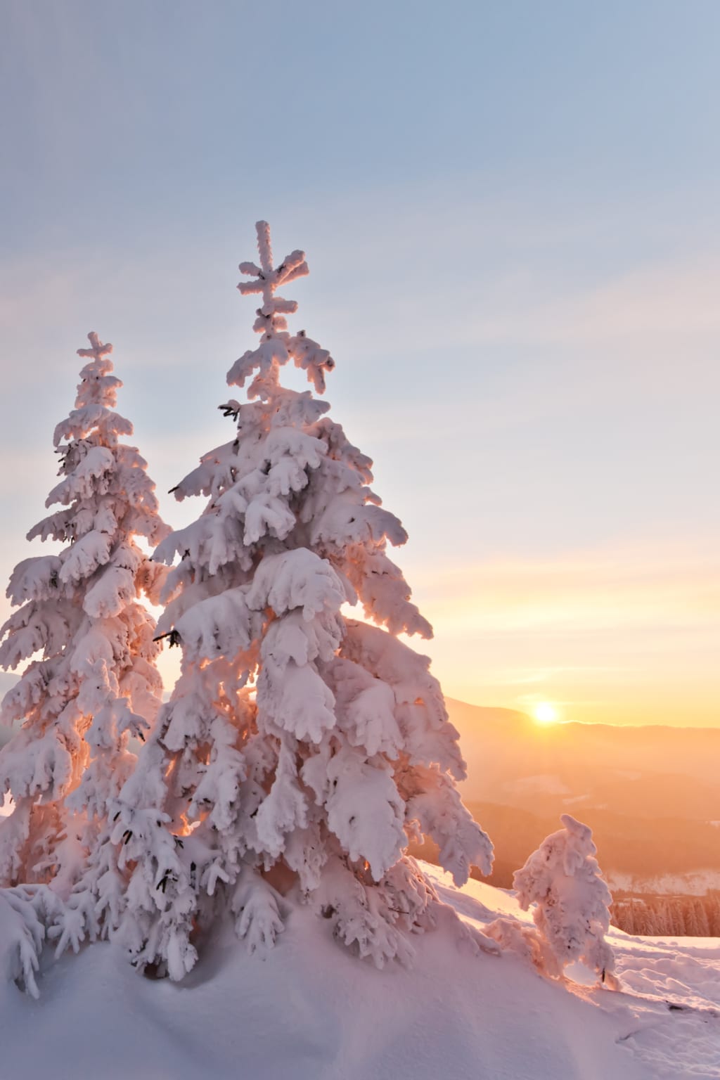 snovy trees on winter mountains